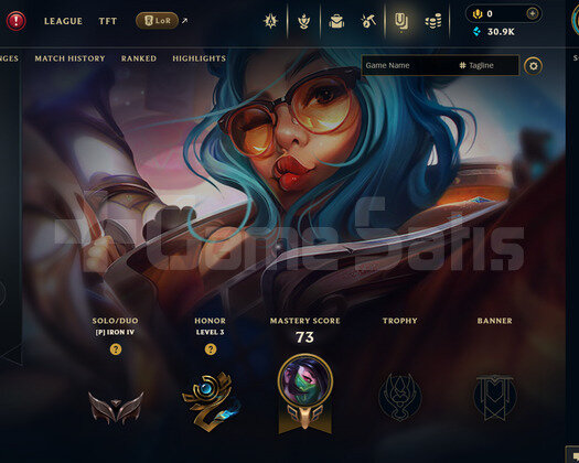 EUW Demir 4 | 2 Kostüm - 30K Mö | LoL Hesap
