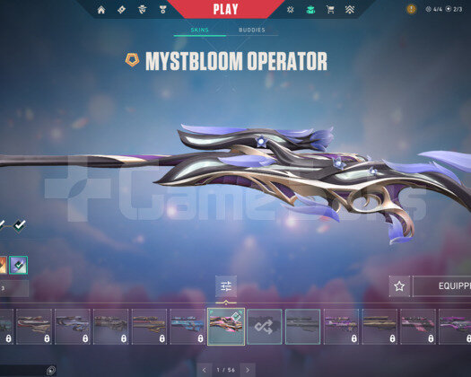 Valorant full + full skin