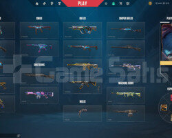 Valorant full + full skin