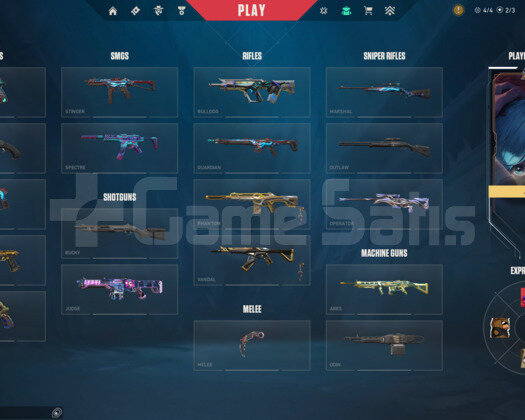 Valorant full + full skin