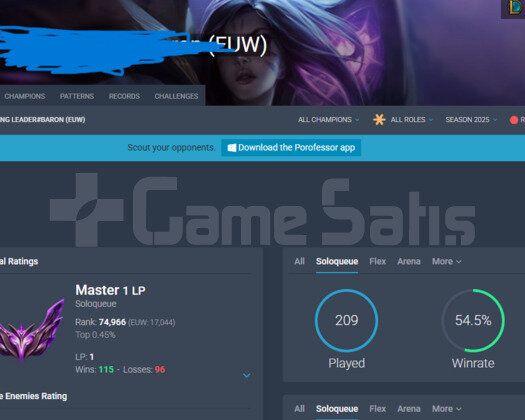 EUW MASTER HANDMADE 54 WR HESAP