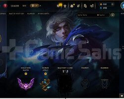 EUW MASTER HANDMADE 54 WR HESAP