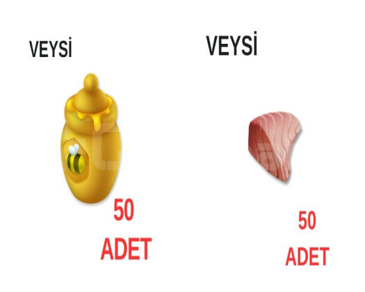 HIZLI 50 bal-balık