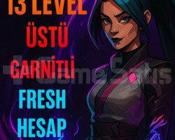 TR 13 LEVEL MAİL DEĞİŞEN FRESH HESAP!!!!