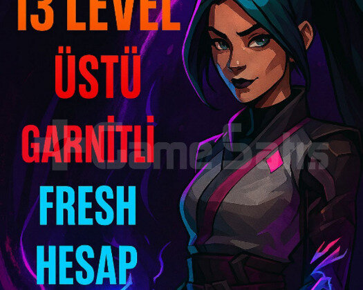 TR 13 LEVEL MAİL DEĞİŞEN FRESH HESAP!!!!
