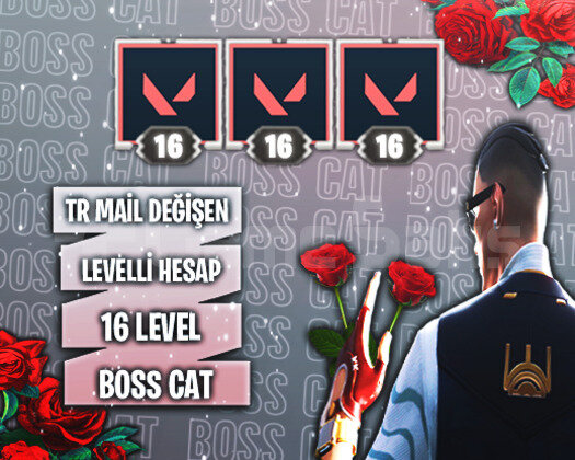 TR - 16 LEVEL - MAİL DEĞİŞEN HESAPLAR !