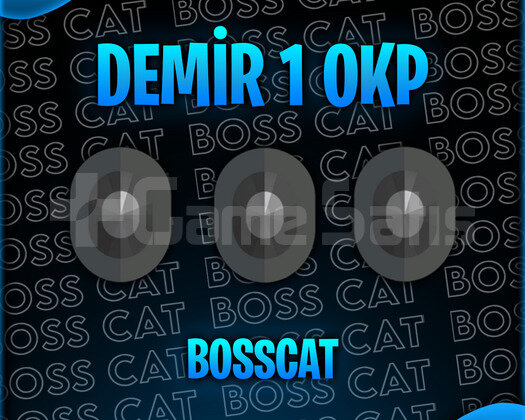 TR - DEMİR 1 0 KP - MAİL DEĞİŞEN - ULTRA DÜŞÜK MMR