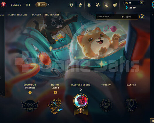 EUW Unranked | 1 Kostüm - 22 Hero | LoL Hesap