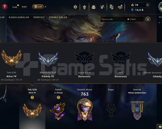 EUW | 256 KOSTÜM 14K+ ÖZ 500 LEVEL MAİL HESAP