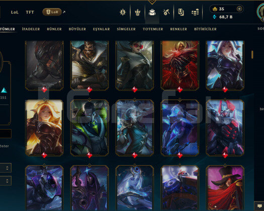 TR / 517 LEVEL / 306 SKİN / FUL HERO +MAİL