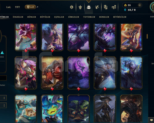 TR / 517 LEVEL / 306 SKİN / FUL HERO +MAİL