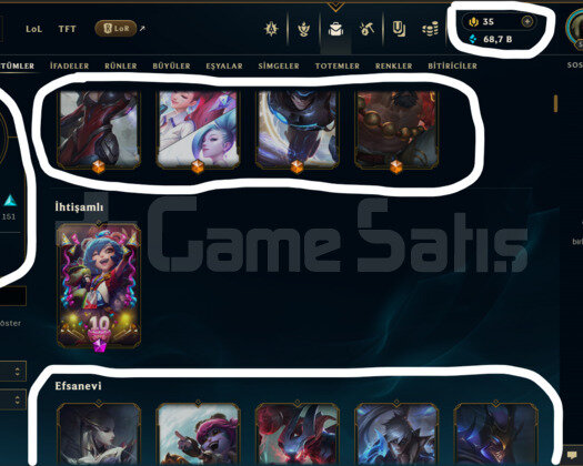 TR / 517 LEVEL / 306 SKİN / FUL HERO +MAİL