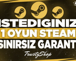 istediğiniz 1 Oyun Steam Hesabı & Destek Garanti