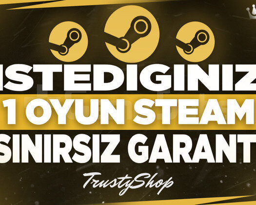 istediğiniz 1 Oyun Steam Hesabı & Destek Garanti