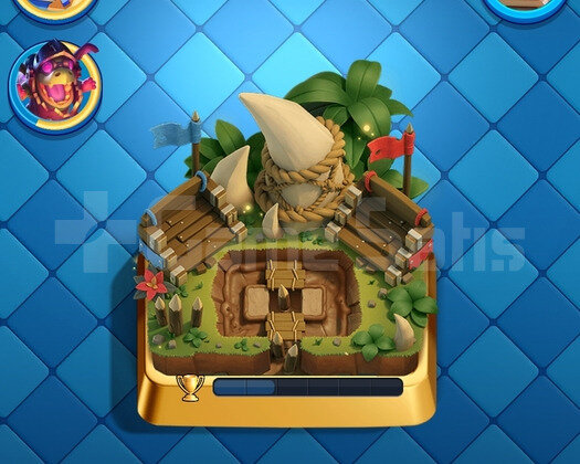 10.000 kupa 2500 taş