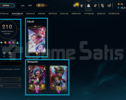 547 LEVEL / 210 SKİN / 176 HERO +MAİL +6400 SATIŞ