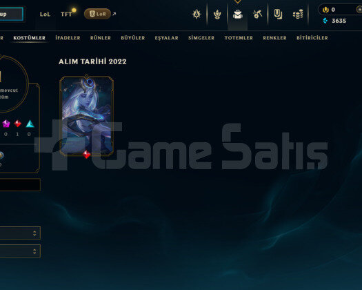 TR DEMİR 2 / 0LP / S12 HESABI