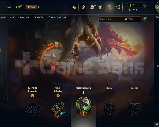 TR Unranked | 1 Kostüm - 20 Hero | LoL