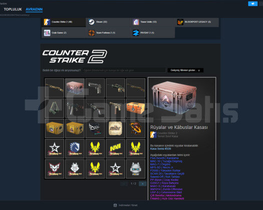 Counter Strike 2 Seçkin + Dolu Steam Hesabı