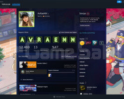 Counter Strike 2 Seçkin + Dolu Steam Hesabı