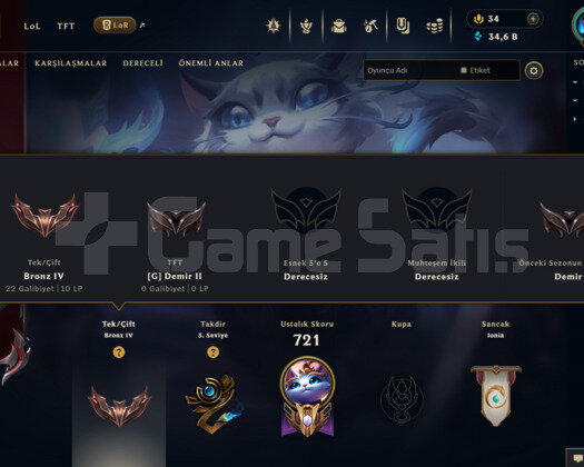 EUW | 388 KOSTÜM 393 LVL 34K+ EFSANE MAİL HESAP
