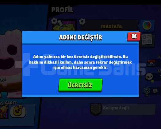 310 TAŞ ÜCRETSİZ İSİM DEĞİŞİM MAX KARAKTERLER