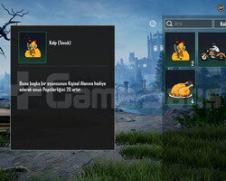 1.2K Pop Ve 222 Ev oyu Anında Teslim