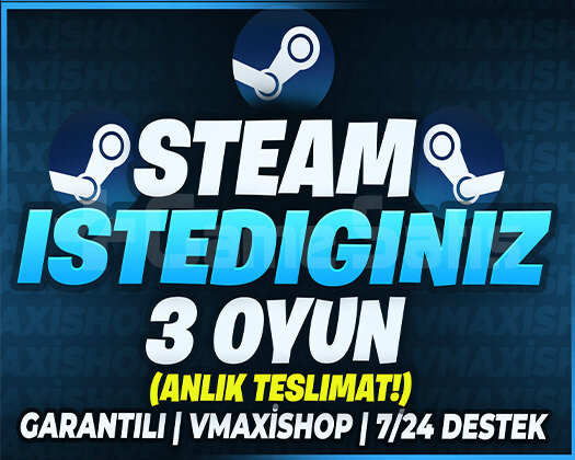 İSTEDİĞİNİZ 3 OYUN STEAM + GARANTİ