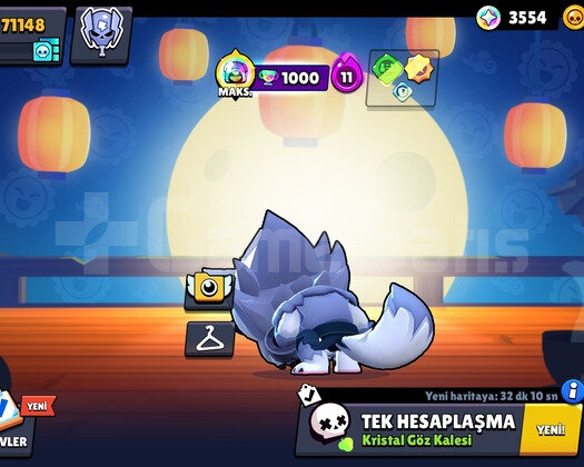 70 K 270KOSTUMLU  DOLU HESAP