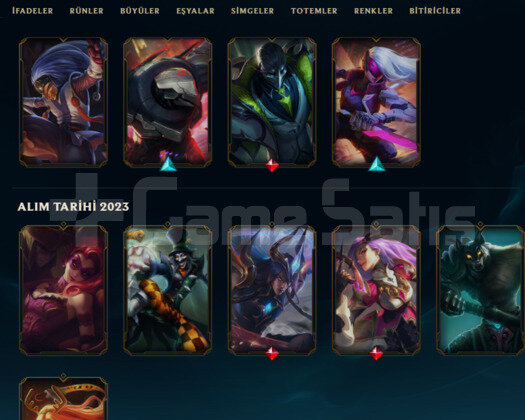 56 SEVİYE 22 KOSTÜM FENA HESAP