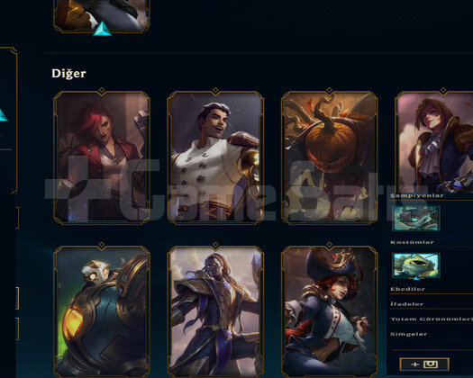 TR HANDMADE 9 SKIN  47 HERO TERTEMİZ MAİL DEĞİŞEN
