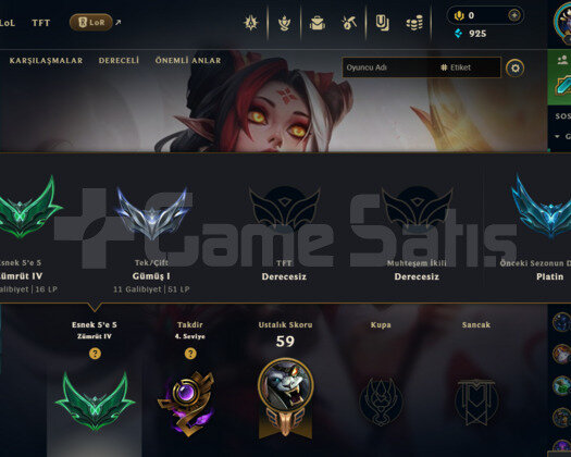 TR FLEX ZÜMRÜT 4 / SOLOQ SİLVER 1 / 49 HERO