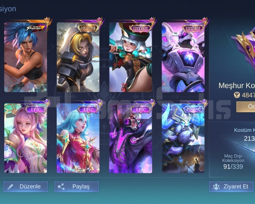 Meşhur Koleksiyoner 213 Kostüm Hero Ve Amblem Max