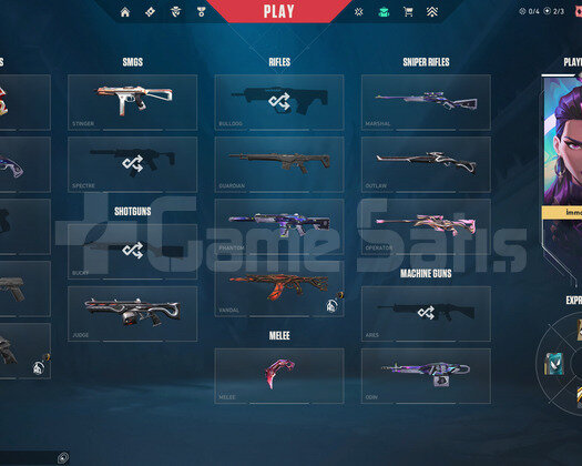 TR + MAİL DEĞİŞEN + VCT KARAMBIT + 2 VANDAL + DİA3