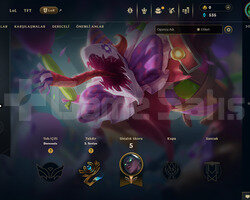 TR Unranked | 3 Kostüm - 25 Hero | Ranked Ready