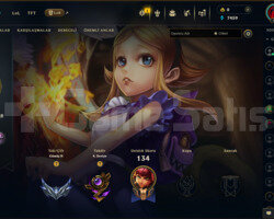 TR 47 LEVEL HANDMADE  11 SKİNLİ MAİLLİ FRESH HESAP