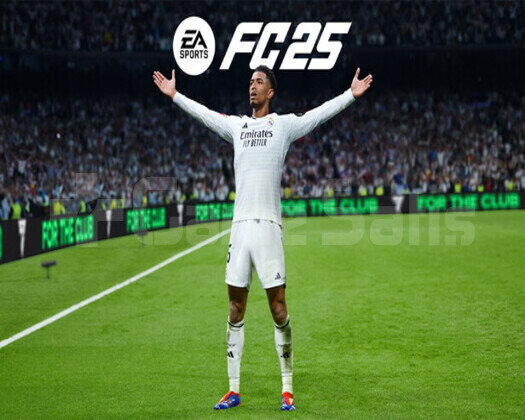 EA SPORTS FC 25 + Garanti