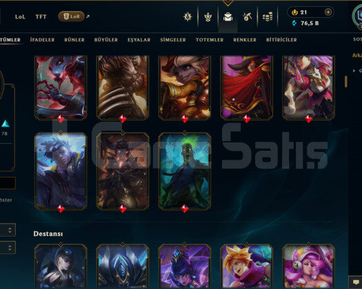 767 LEVEL / 206 SKİN / FUL HERO +MAİL +8800 SATIŞ