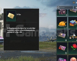 1000 adet pubg ev oyu