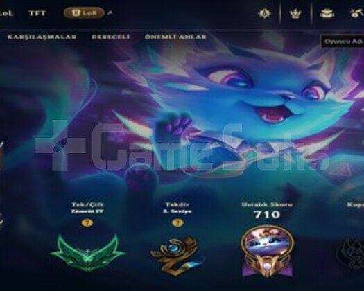 609 LEVEL / 570 SKIN / FULL HERO / +MAIL / KAÇMAZ