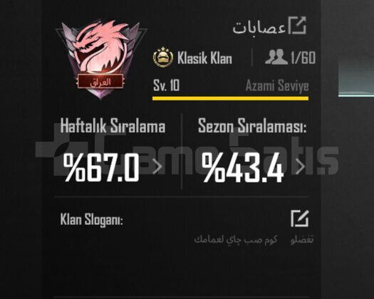 10 SEVİYE İSİM DEĞİŞTİRME AKTİF KLAN