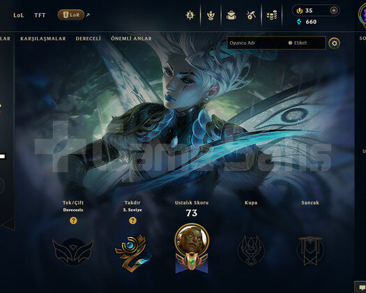 EUW Unranked | 16 Kostüm - 49 Hero | LoL