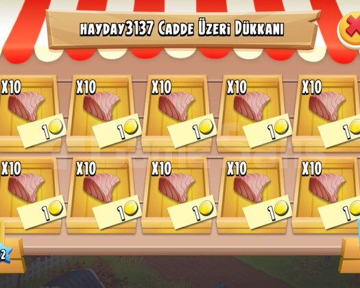 100 ADET BALIK