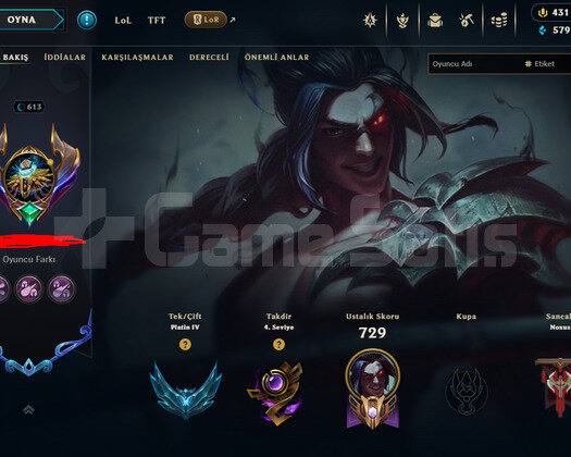 613 LEVEL / 453 SKIN / FULL HERO / +MAIL / KAÇMAZ