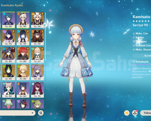 EU - AR 58, 31x5*, Ayaka Skin, +24 Wish