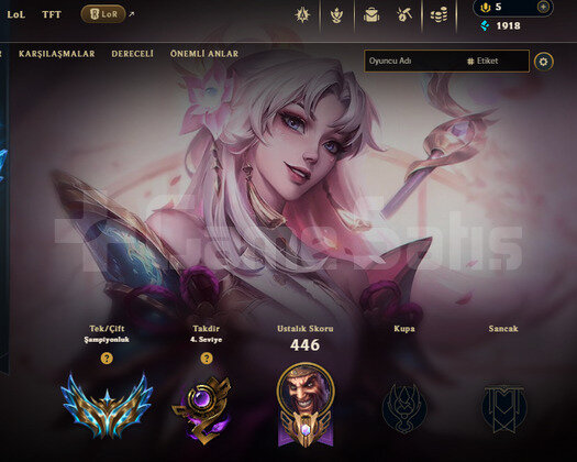 tr cha hesap +100skin
