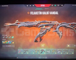31 skinli 9 Vandal 7 Knife 5 Phantom Hepsi Max