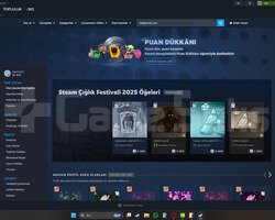 ahmet beyin 10k steam puanı