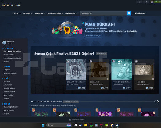 ahmet beyin 10k steam puanı