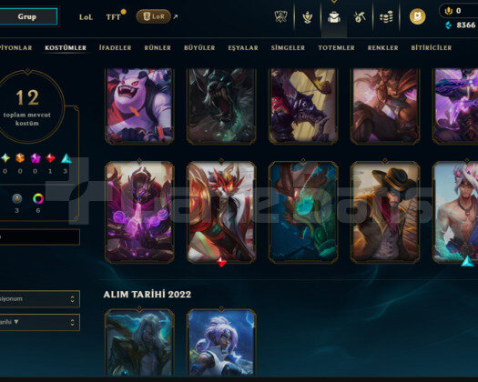 PLAT 4 + 38LP 73WR -10LP 12 Skin
